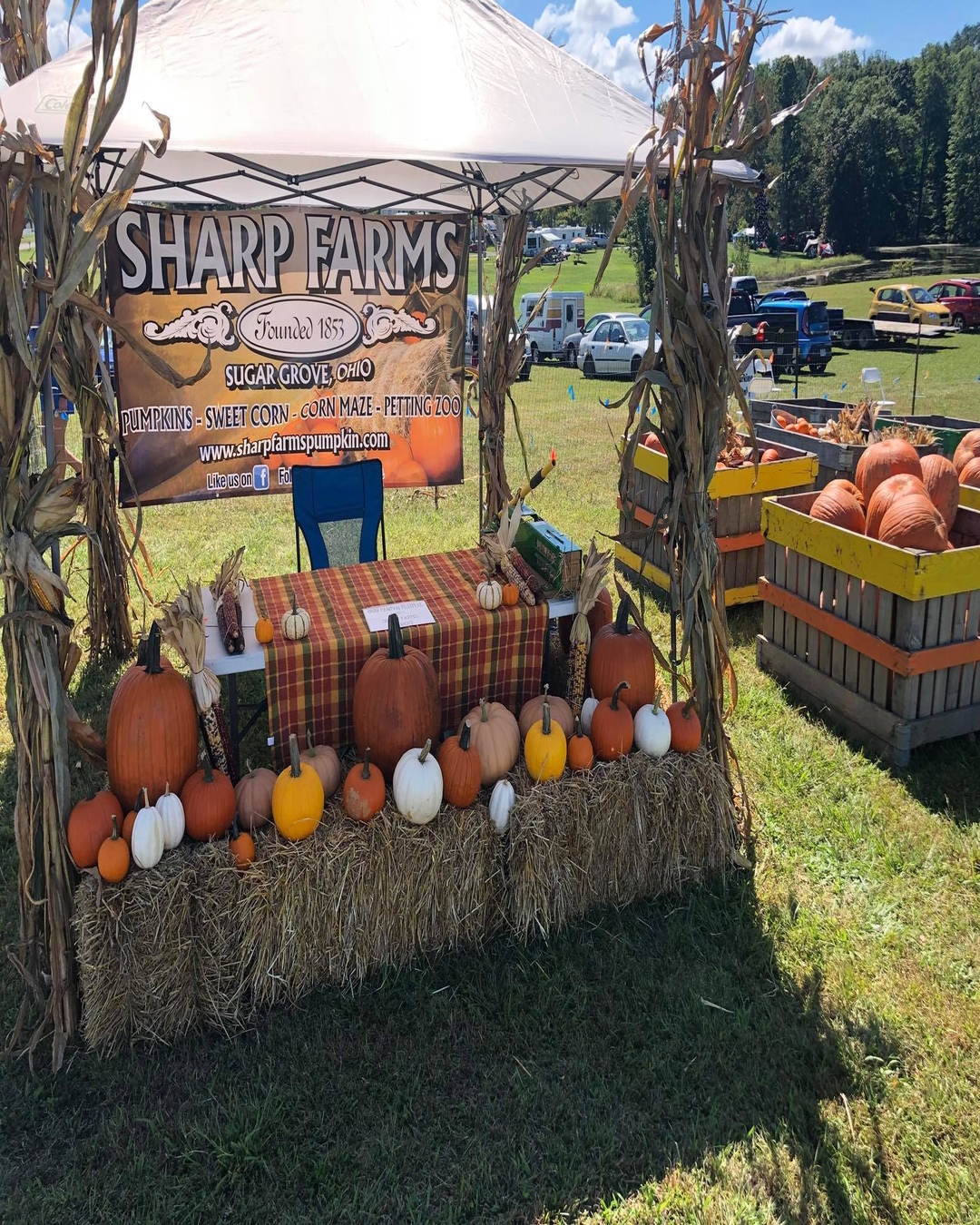 Pumpkin stand at Sharp Farms
